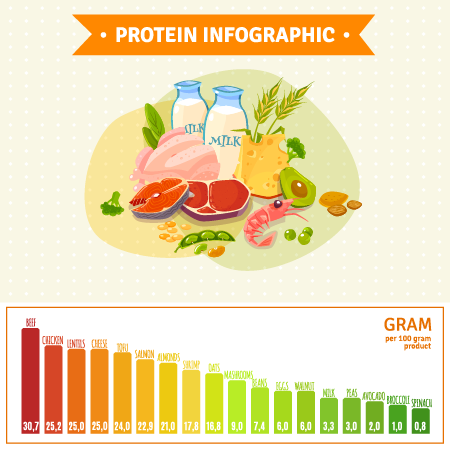المصادر الغذائية للبروتين بعد التمرين للنساء
